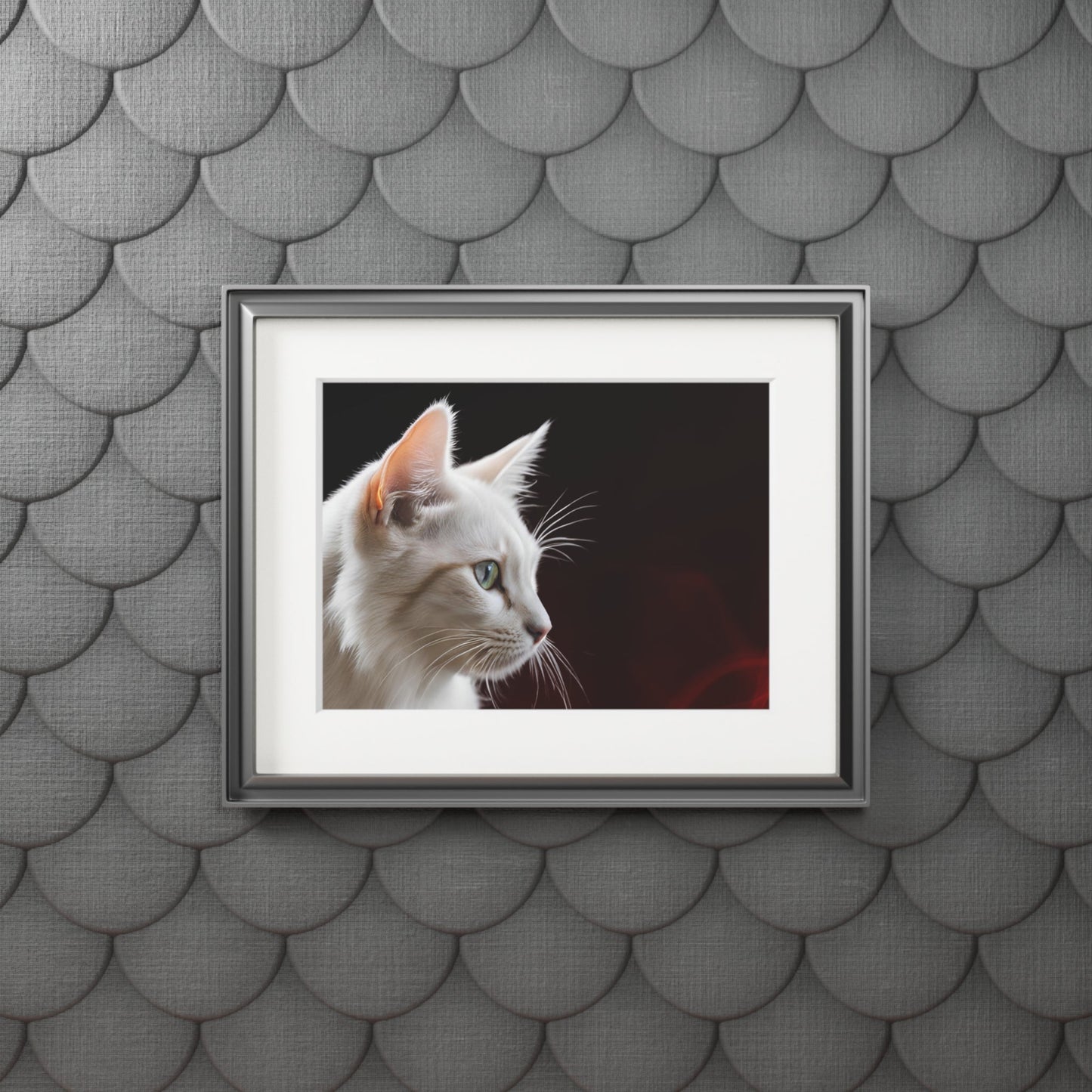 Wonderful White Cat Fine Art Print with Passepartout Frame